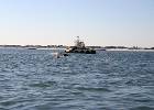 IMG_1334.JPG