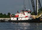HERCULES IMG_3943.JPG
